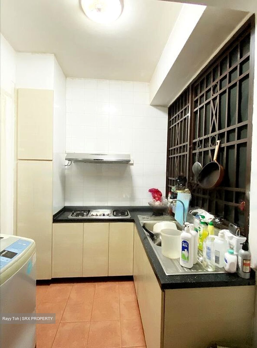 Seletaris (D27), Condominium #507393081